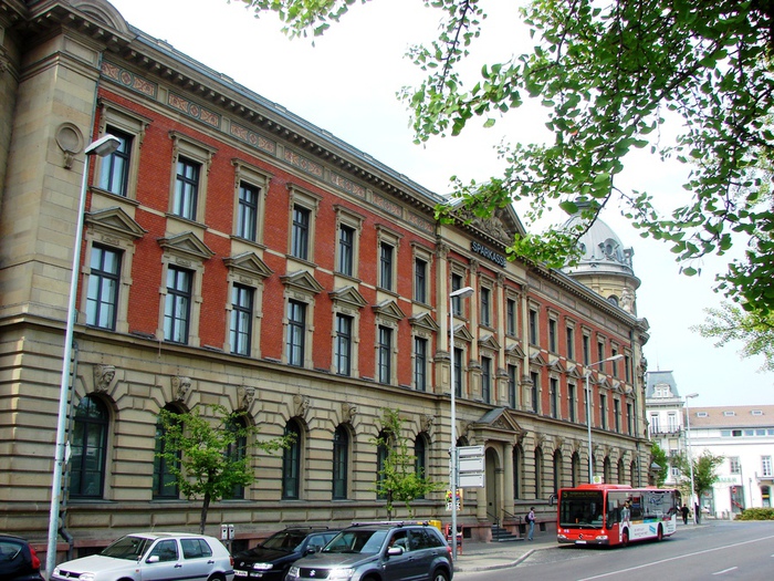 DSC00547 (700x525, 242Kb)