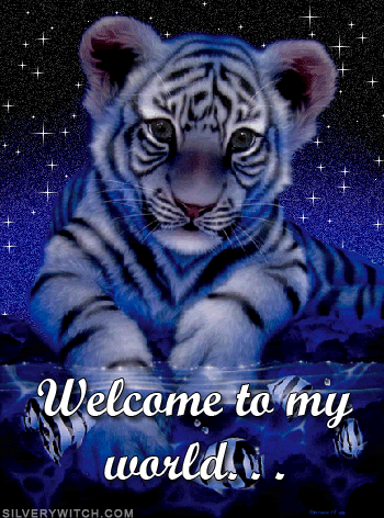1824747_51888820_WelcomeToMyWorldTiger (350x472, 140Kb)