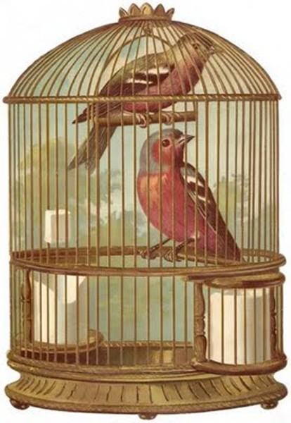 4174626_bascrap_birdcage3 (414x600, 64Kb)