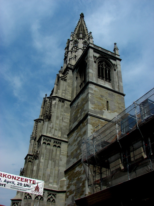 DSC00616 (525x700, 192Kb)