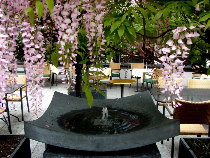 DSC00413 (700x525, 261Kb)