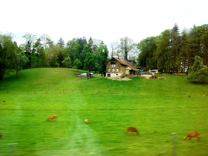 DSC00359 (700x525, 197Kb)