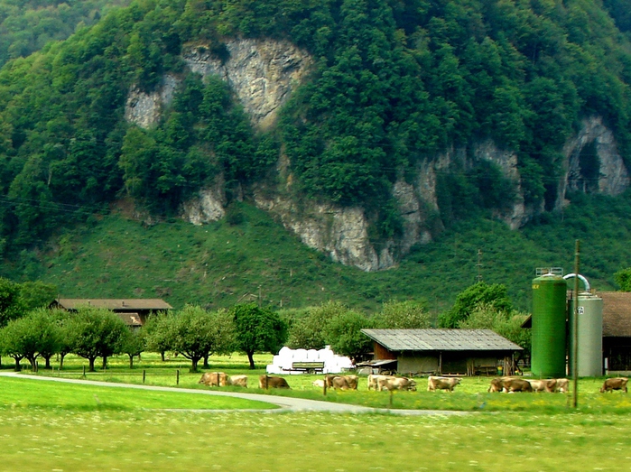 DSC00384i (700x523, 273Kb)