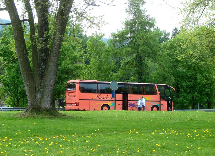 DSC00534 (700x509, 202Kb)