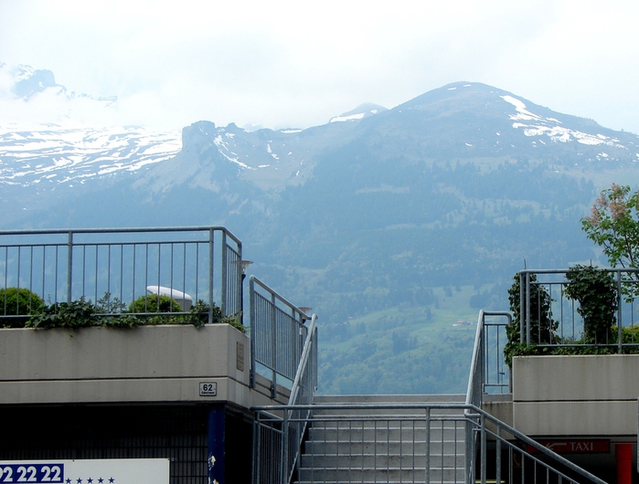 DSC00488 (700x530, 176Kb)