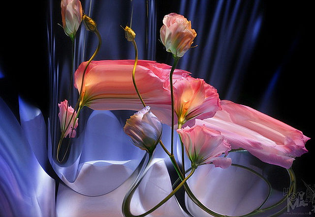 getImage (2) (640x442, 59Kb)