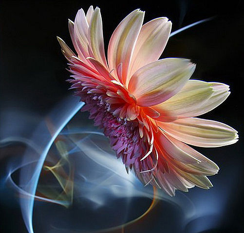 getImage (18) (501x480, 49Kb)