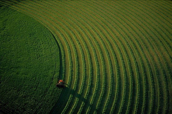 3529 (700x465, 108Kb)