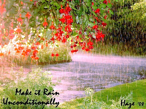 1609660_make_it_rain_unconditionally (576x432, 365Kb)