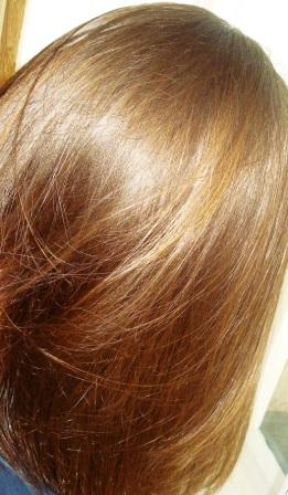 DSC05803 (261x448, 28Kb)