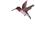 17 (51x45, 2Kb)
