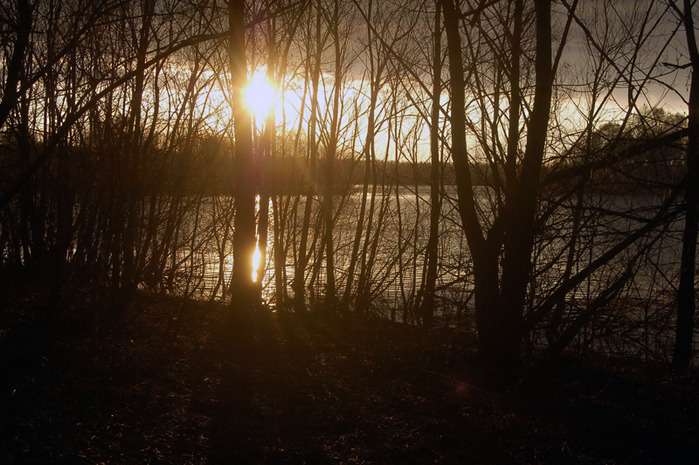 3392780_DSC_8280 (700x465, 146Kb)