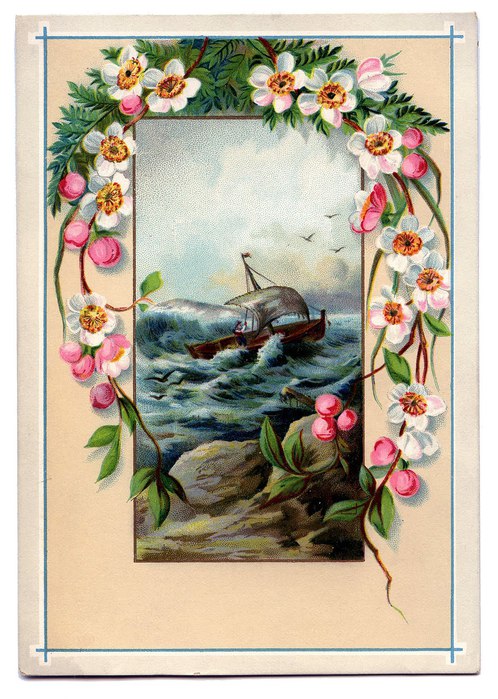 shipflowers-graphicsfairy011b (498x700, 107Kb)