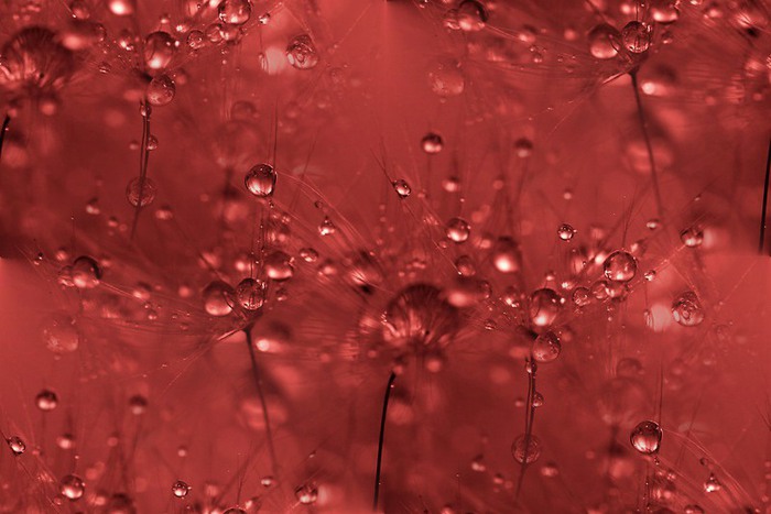 0_a708f_e8eedabe_XL (700x467, 72Kb)