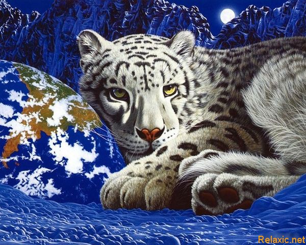 0003-03ws (600x480, 129Kb)