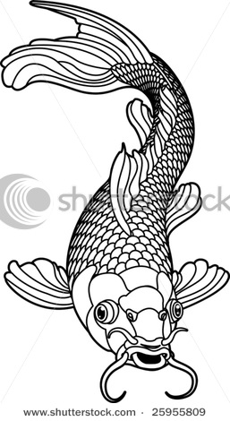 stock-vector-a-beautiful-koi-carp-fish-illustration-in-monochrome-symbol-of-love-friendship-and-prosperity-25955809 (257x470, 43Kb)