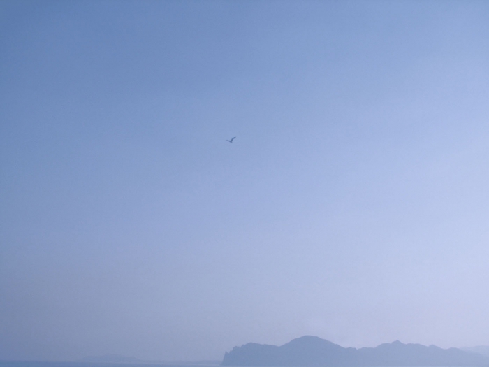4270844_03468675_f (700x525, 107Kb)