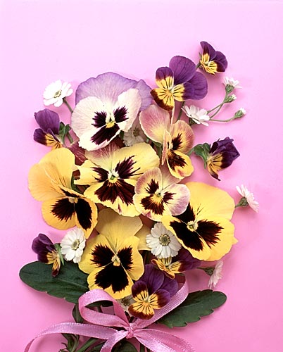 5790416_5463991_2832876_flower014 (402x500, 42Kb)