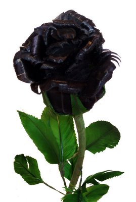 black_rose_budding (269x400, 18Kb)