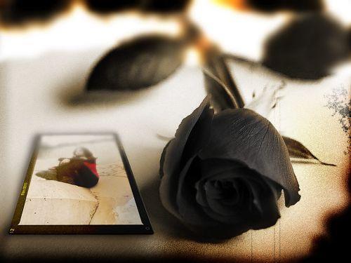 ׸ .jpg (500x375, 25Kb)