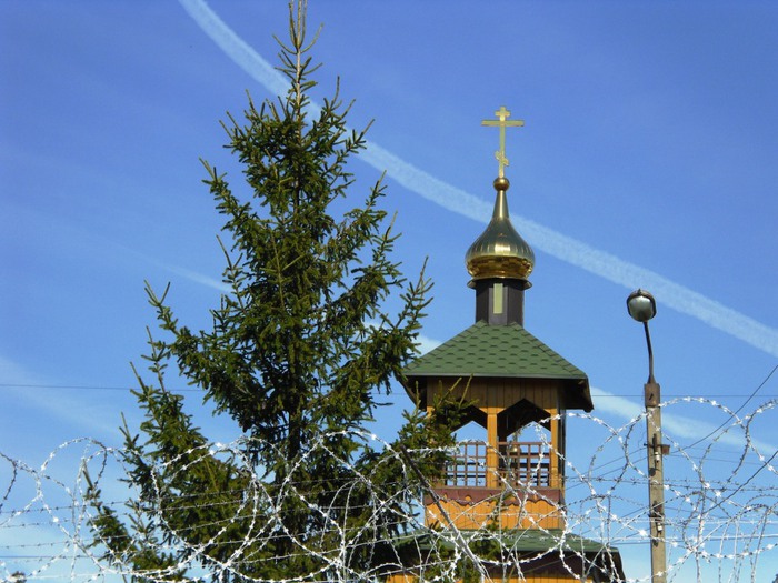 SAM_0685 (700x525, 116Kb)