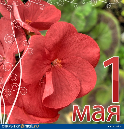 e95265d6a7ea13e4a5acc5698b6d1b39 (500x521, 198Kb)