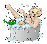 cat in a bath (184x172, 23Kb)