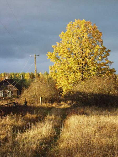 Красивые фото деревенской жизни