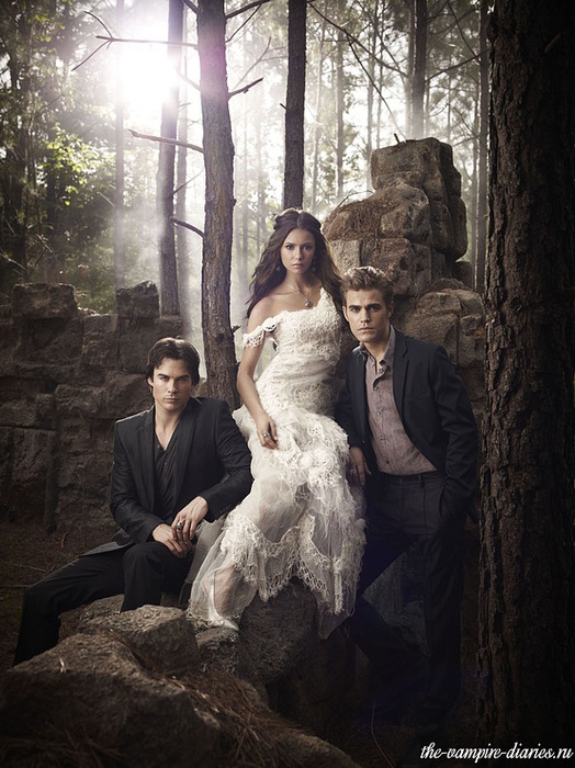 2190673_The_Vampire_Diaries214 (524x700, 142Kb)