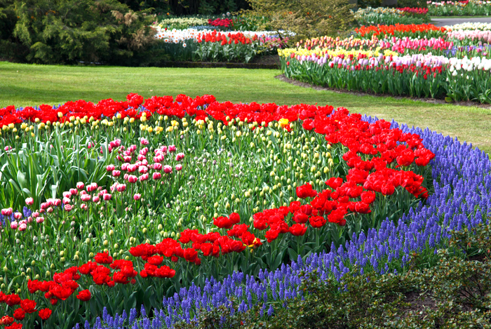 flower-garden-11291224875Iks.jpg ( JPEG, 1280x853 ) -  (65%) (700x469, 883Kb)