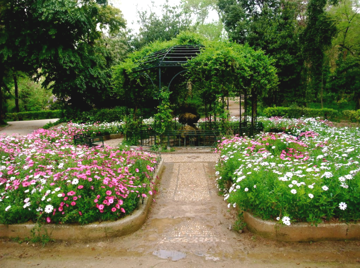 flower-nathional-gardens.jpg ( JPEG, 1024x768 ) -  (73%) (700x522, 876Kb)