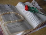  P1012626 (700x525, 270Kb)