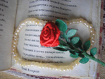  P1012637 (700x525, 297Kb)