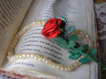  P1012642 (700x525, 278Kb)