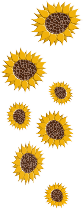 3999544_Bellabelugas_SunflowerFields_element_02st (279x700, 193Kb)