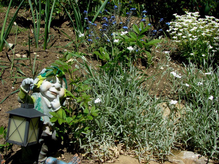 DSC09990 (700x525, 240Kb)