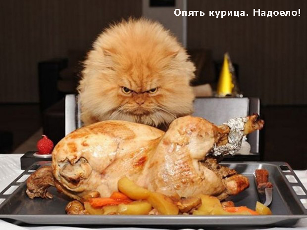 3755121_opyat_kyrica (620x465, 153Kb)