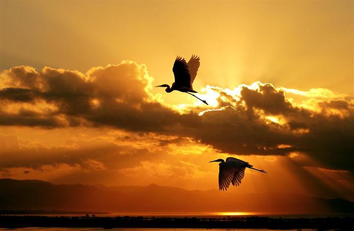 sunrise-0 (694x453, 29Kb)