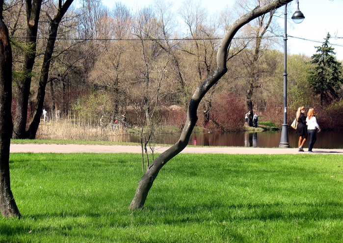 3802547_park2 (700x495, 357Kb)