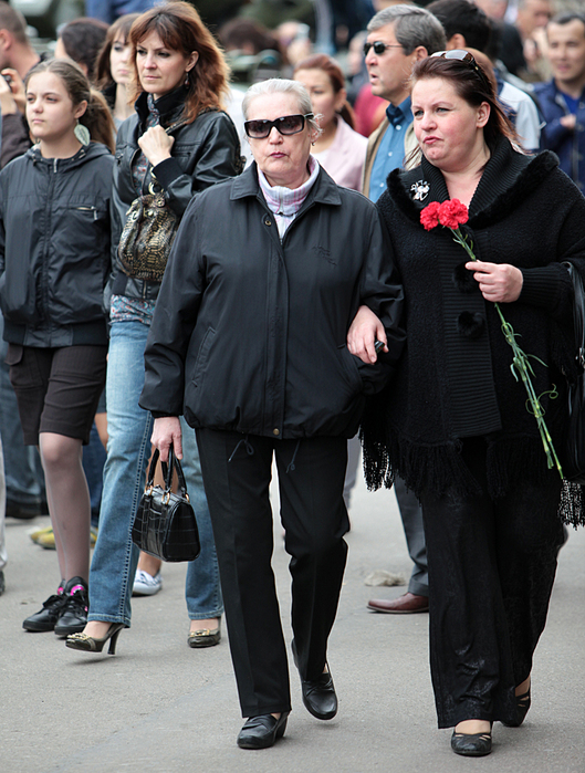 IMG_4017 (529x700, 398Kb)