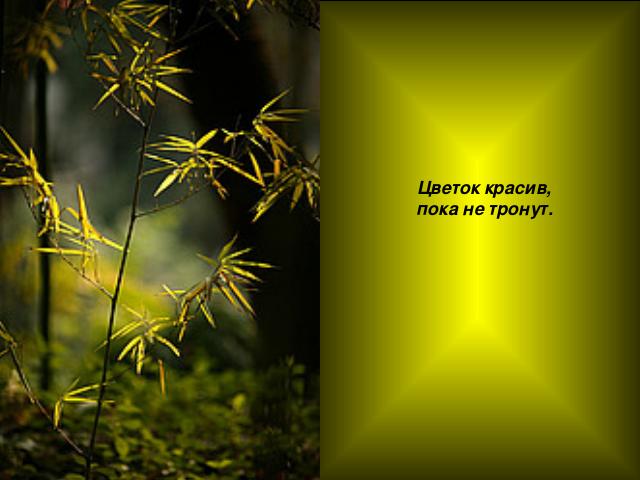 img19 (640x480, 33Kb)