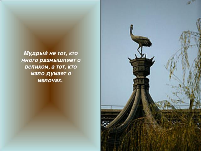 img21 (640x480, 32Kb)