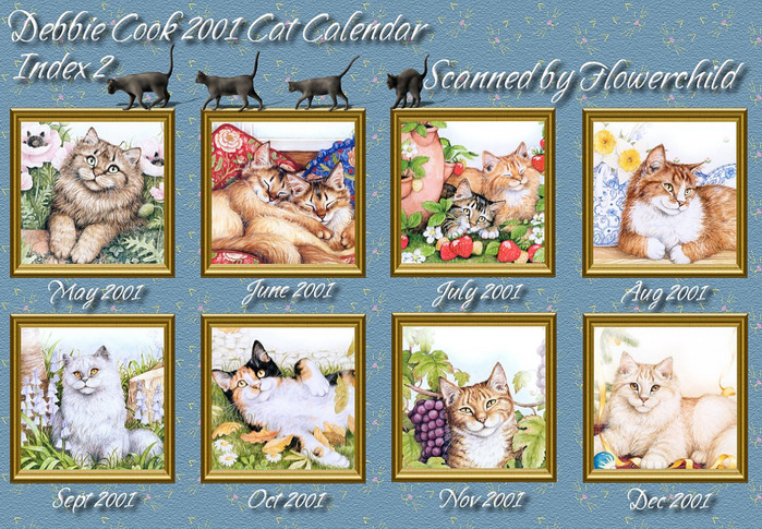 _kb_Cook_Debbie-2001_Index2 (700x485, 214Kb)