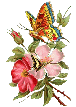  5 (245x345, 93Kb)