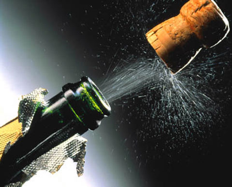 71058440_coachk_champagne (480x386, 38Kb)