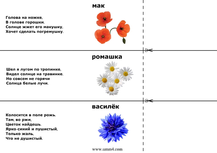 zagadki-s-otvetami-zagadki-pro-veti-1 (700x494, 84Kb)