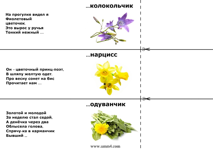 zagadki-s-otvetami-zagadki-pro-veti-3 (700x494, 90Kb)