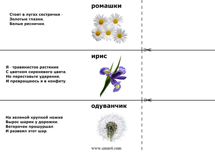 zagadki-s-otvetami-zagadki-pro-veti-4 (700x494, 78Kb)