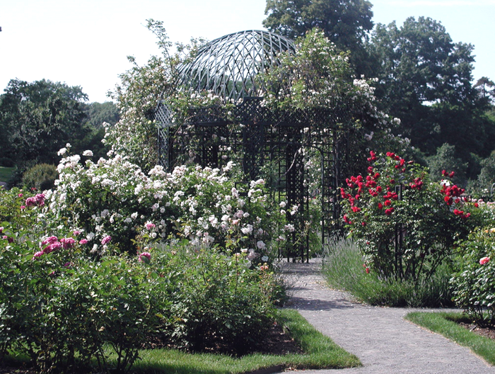 075rosegarden.jpg (изображение «JPEG», 1024x768 пикселов) - Масштабированное (73%) (700x528, 888Kb)