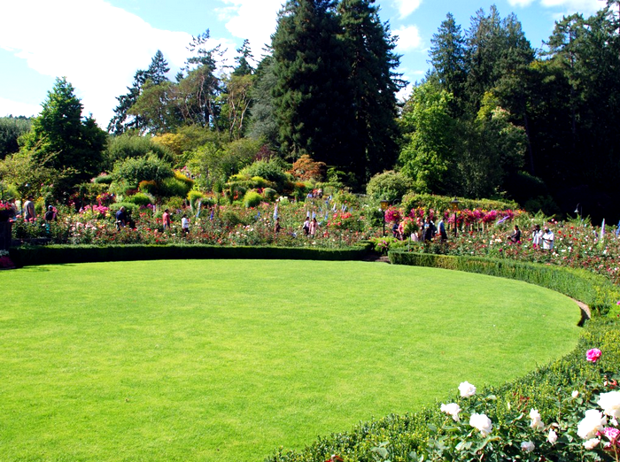 The Rose Garden - Travel Wallpaper and Stock Photo (700x522, 850Kb)